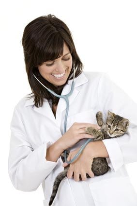 assurance santé animale mutuelle chien chat april
